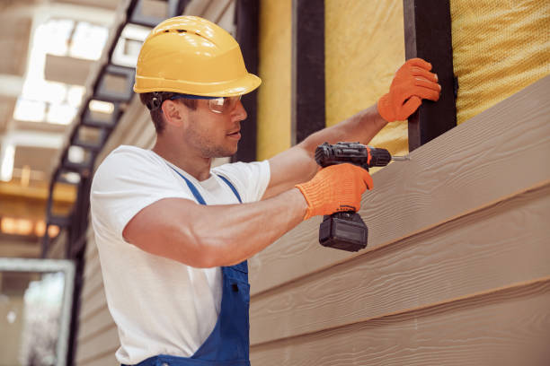 Best Vinyl Siding Installation  in Metairie, LA